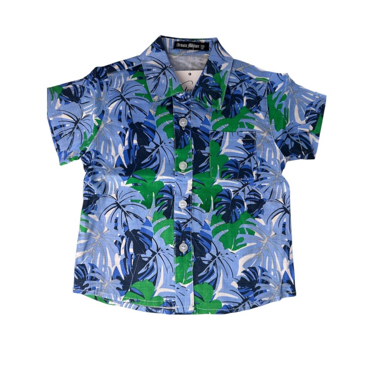 Coordinato Palme